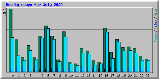 Hourly usage for July 2025