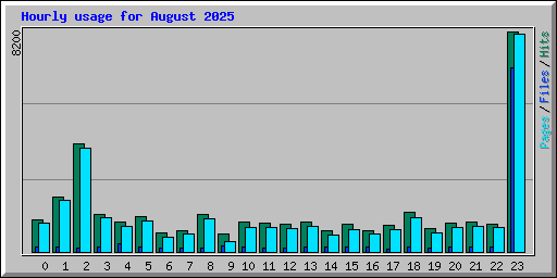 Hourly usage for August 2025