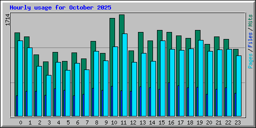 Hourly usage for October 2025