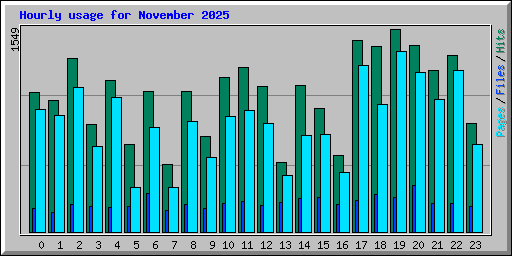 Hourly usage for November 2025